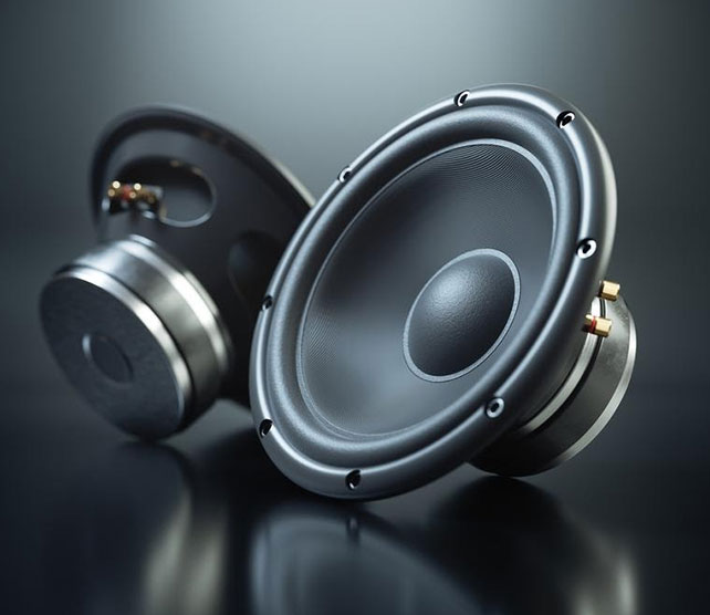 professional speakers